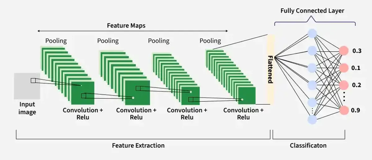 Classification de maladies sur des plantes avec mes propres réseaux de neurones convolutifs